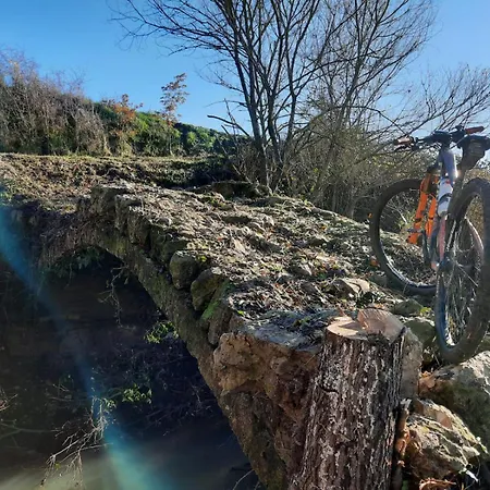 Alojamento de Acomodação e Pequeno-almoço Palatium S.g. 4*