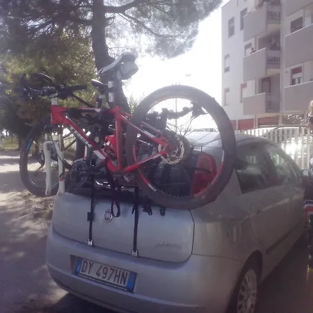 Palatium S.g. Palazzo San Gervasio