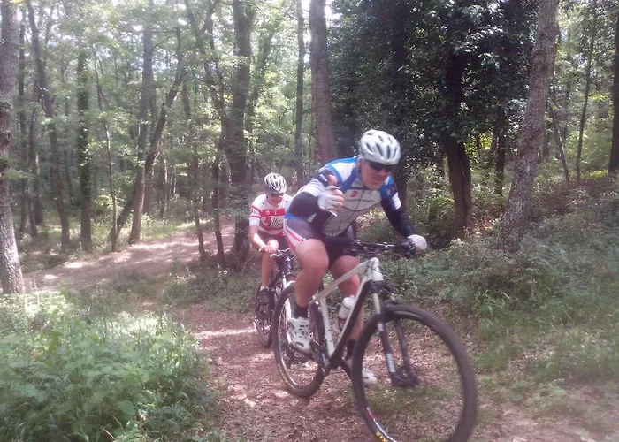 Bed & Breakfast Palatium S.g.